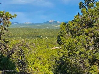 7 Co Rd 3184 --, Vernon, AZ 85940