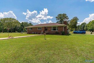 6205 County Line Rd, Leighton, AL 35646