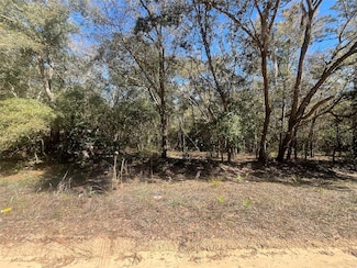 0 Beaven St, Interlachen, FL 32148
