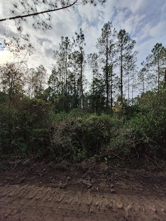 0 E Saint Johns St, Palatka, FL 32177