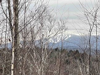 000 Rose Ln, Londonderry, VT 05148
