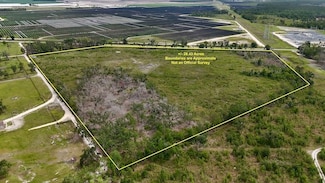 00 Cr 53 Unit LotWP001, Lee, FL 32059