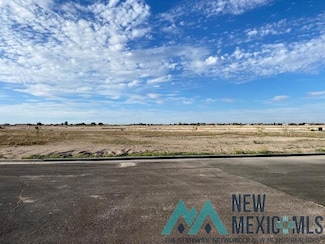 5110 N Camelot St, Hobbs, NM 88242