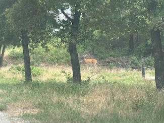 TBD NE 225th St, Fletcher, OK 73541