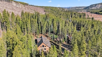 6565 Highway 9, Breckenridge, CO 80424