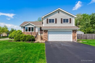 202 Fescue Ct, Lake Zurich, IL 60047