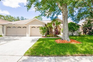 9213 Rockrose Dr, Tampa, FL 33647