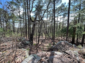 326A Black Oak Trail, Moyers, OK 74557
