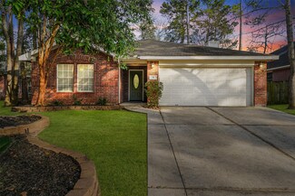 34 Orchid Grove Place, Conroe, TX 77385