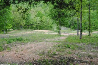 #4 Rockin Chair, Western Grove, AR 72685