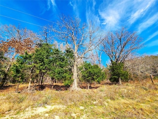 Lot 463 U S 175, Larue, TX 75770