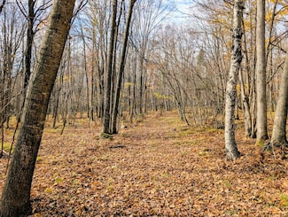 W N 20 School Rd, Glen Flora, WI 54526