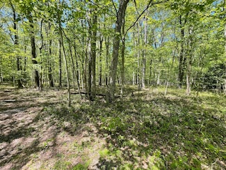 A310 Poplar Dr, Penn Forest Township, PA 18229