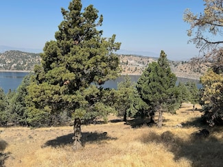 Unit 2 Lot 102 Juniper Peak Rd Unit 2, Lake Shastina, CA 96094
