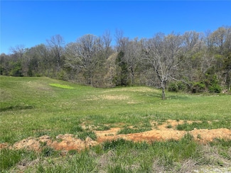 8 Cr 528, Fredericktown, MO 63645