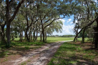 30902 Taylor Grade Rd, Duette, FL 34219