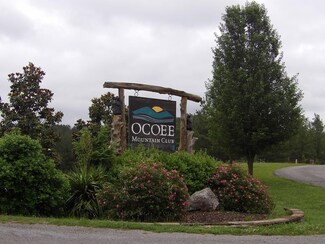 152 White Water Run Ln, Ocoee, TN 37361