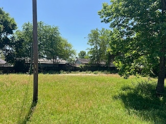 16899 W Dounreay St, Montgomery, TX 77316