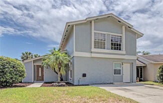 10317 Del Mar Cir, Tampa, FL 33624