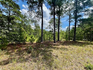 00 Dublin Eastman Rd, Dexter, GA 31019