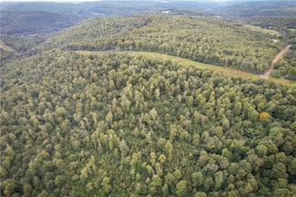 00 Doolittle Rd, Lockwood, NY 14859
