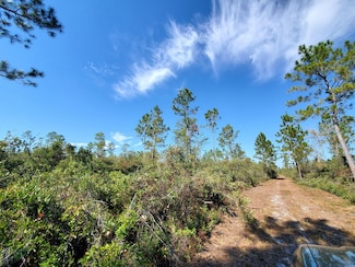 0 SW Prine Rd Unit 19597163, Lee, FL 32059