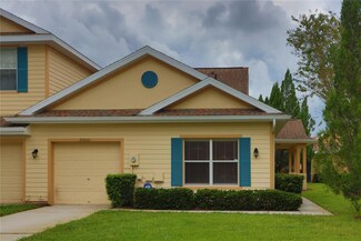 20201 Vintage Oaks Place, Tampa, FL 33647