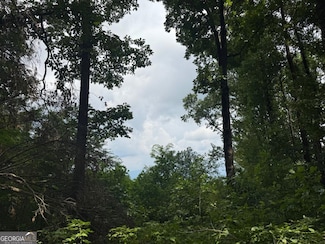 18 ACRES S Pineypur Rd S Unit TR 24, Ellijay, GA 30536