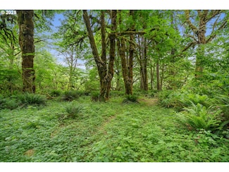 01000 Trask River Rd, Tillamook, OR 97141