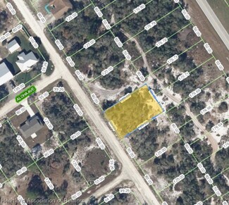 528 Morningside Dr, Lake Placid, FL 33852