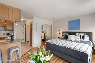 725 E Main St Unit 304, Aspen, CO 81611