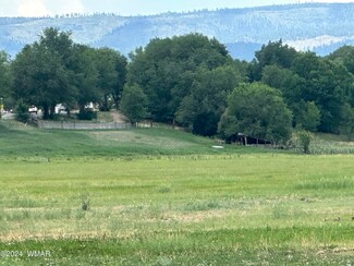 0 S Mountain Ave Unit 252112, Springerville, AZ 85938