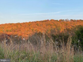 36.02 AC Parker Hollow Rd, Lost River, WV 26801