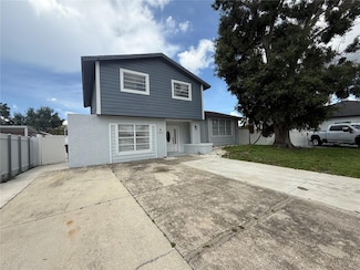 7347 W Pocahontas Ave, Tampa, FL 33634