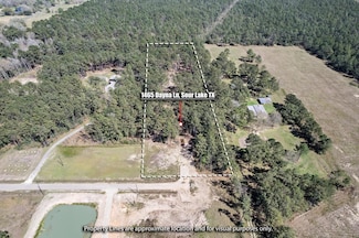1465 Dayna Ln, Sour Lake, TX 77659