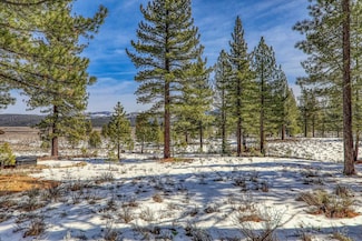 300 Bob Haslem Unit Lot 305, Truckee, CA 96161