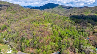 99999 Marlowe Rd, Fairview, NC 28730