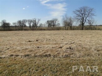 353 Mcgrew Dr, Avon, IL 61415