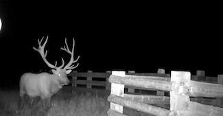 7200 Pineview Rd, Custer, MT 59024