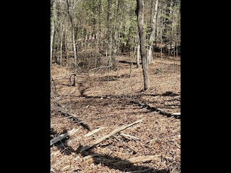 TR 2 E New Hope Rd, Ellijay, GA 30536
