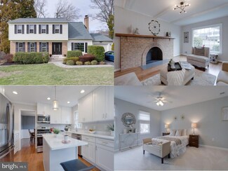 8018 W Point Dr, Springfield, VA 22153