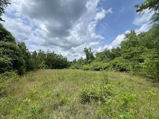 Hwy 23, Seale, AL 36875
