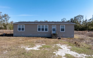 17151 168th St, McAlpin, FL 32062
