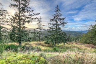 0 Rustic Homestead- Sw1 Ln, Orcas Island, WA 98245