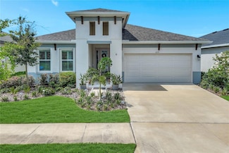 6219 Golden Nettle Dr, Apollo Beach, FL 33572