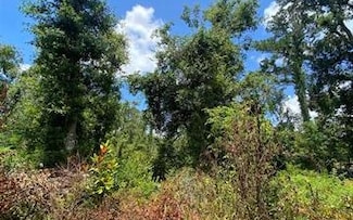 0 SW Main St Unit 129084, Greenville, FL 32331