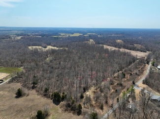 Sulphur Springs Cemetery Rd Unit LotWP001, Marion, KY 42064