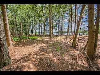 Lot 139 Clearwater Lake Trail, Three Lakes, WI 54521