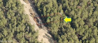 115 Webhill Ave, Inverness, FL 34452