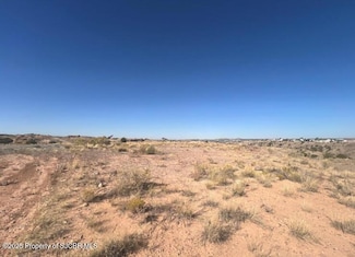 LOT 259A Road 3778, Farmington, NM 87401